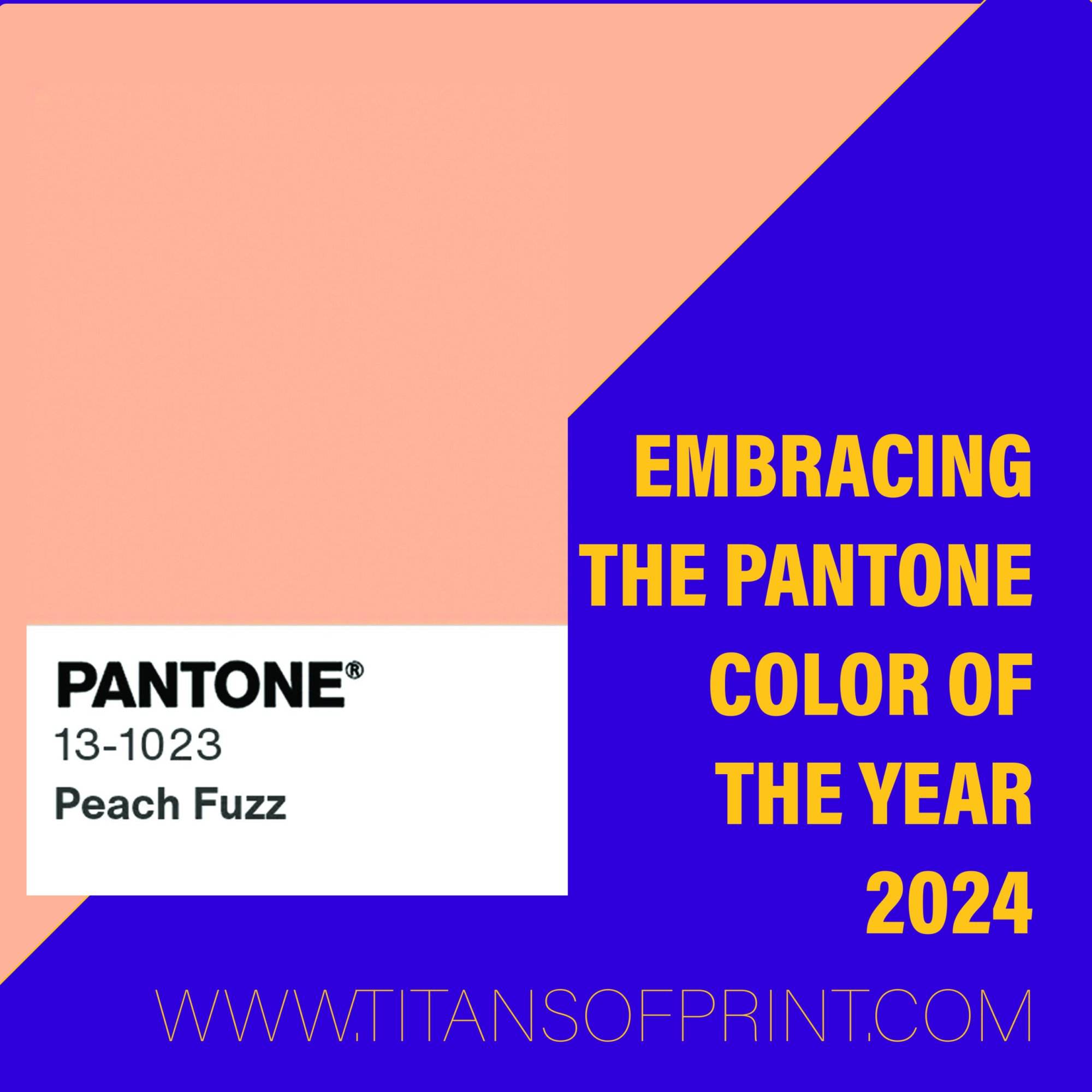 Embracing The Pantone Color Of The Year 2024 Embracing The Pantone Color Of The Year 2024 Scaled